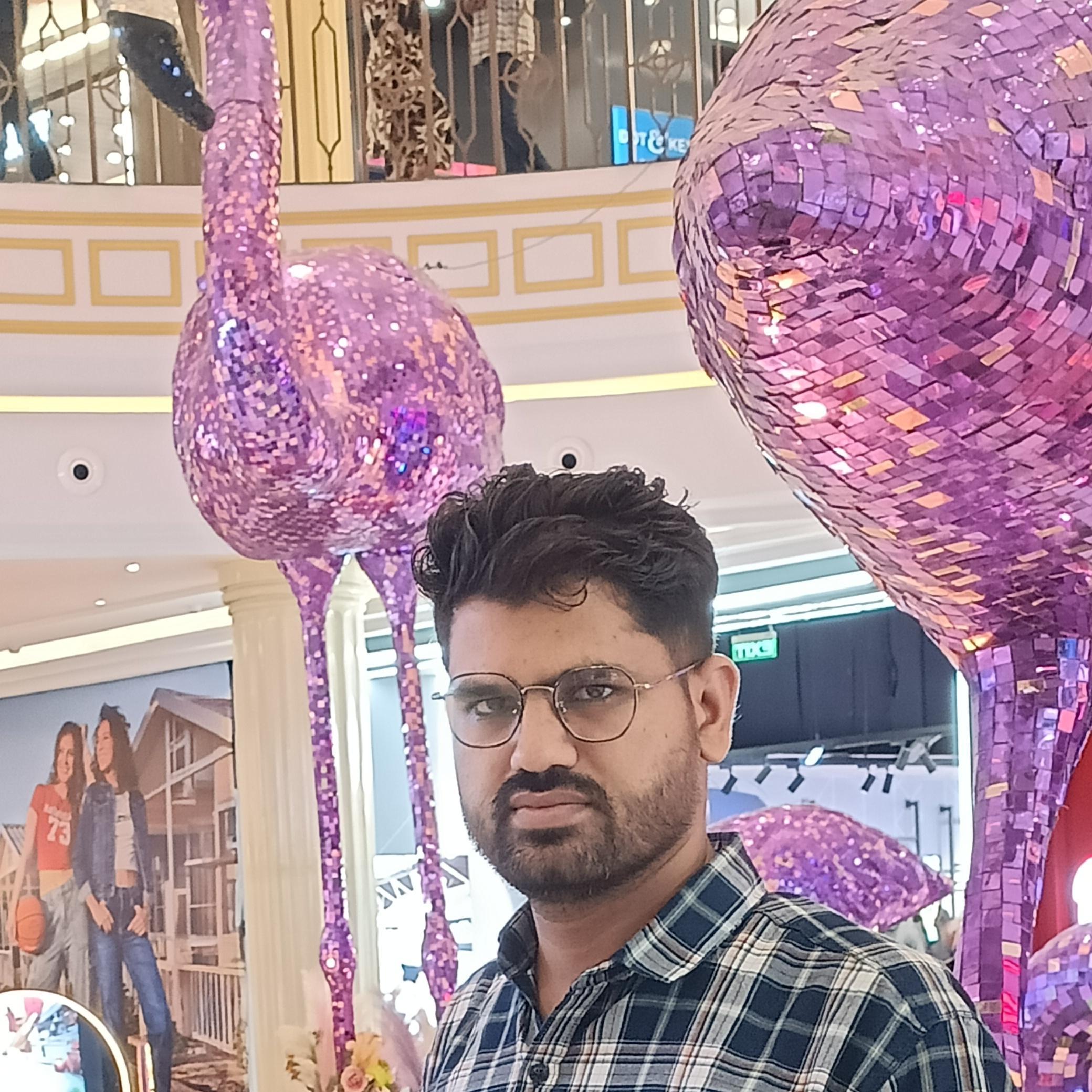 Raju Vishvakarma