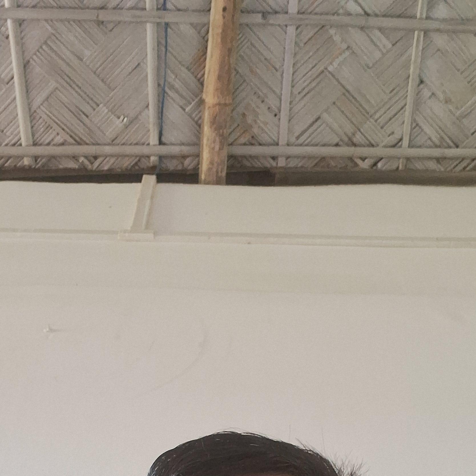 Mindarson Timung